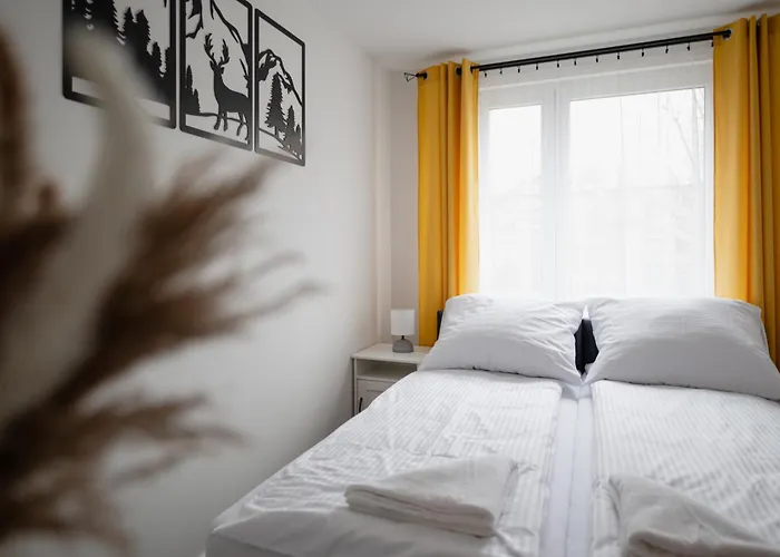 Apartament Zakopane Apart Centrum 338